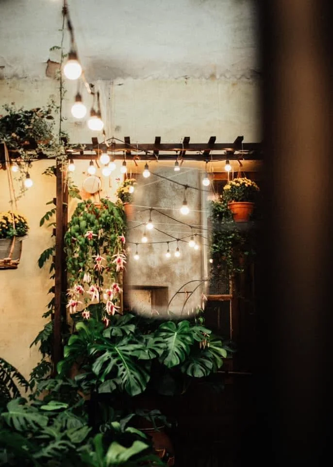 Botanica Coffee Truck — fotografie podniku