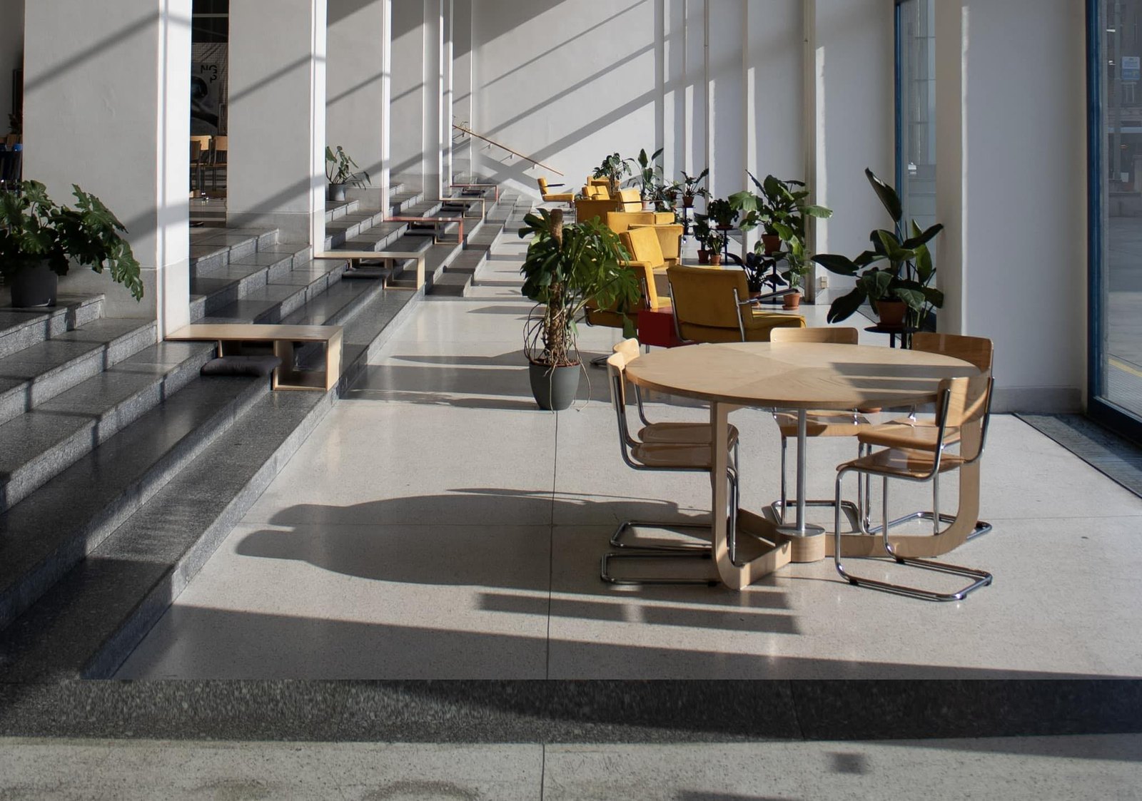 Kolektor Cafe — fotografie podniku