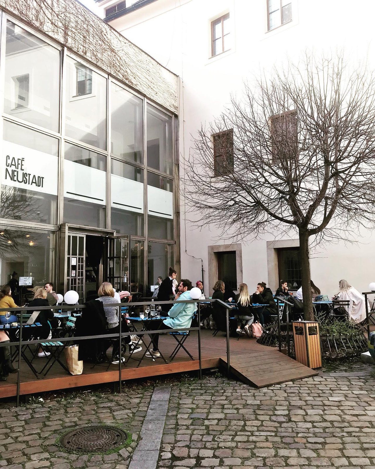 Café Neustadt — fotografie podniku