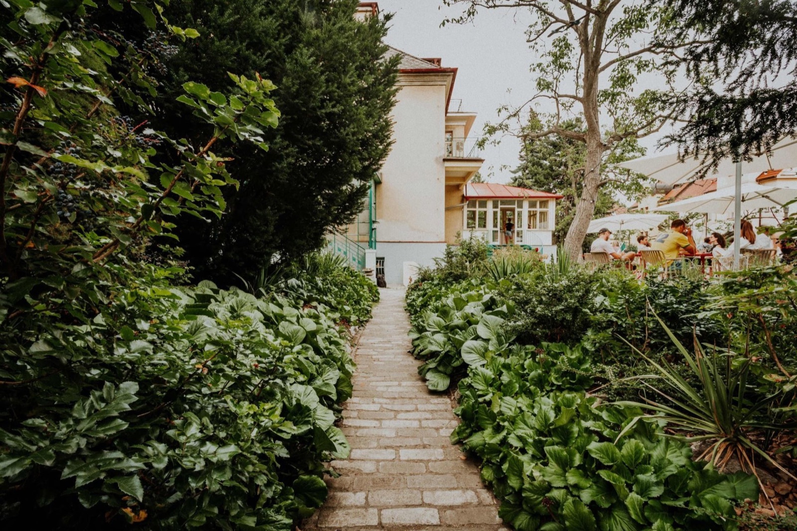 Vila 63 — venue photograph